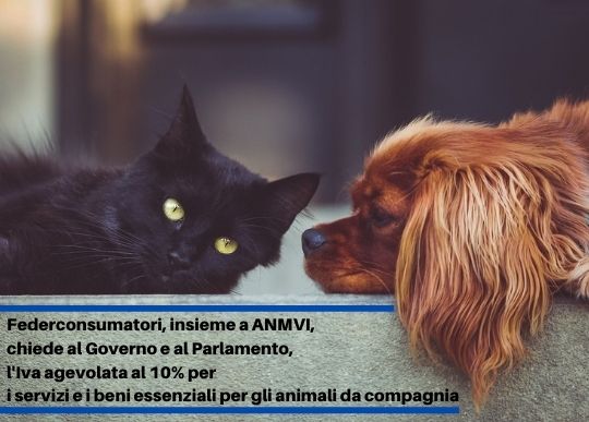 iva agevolata animali.jpg